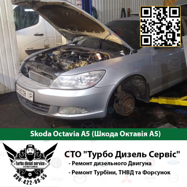 Skoda Octavia А5 (Шкода Октавія А5) ціна сто фото